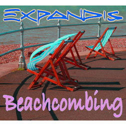 beachcombing 